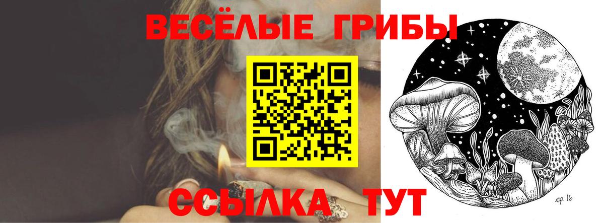 Кумертау  Псилоцибиновые грибы Cubensis  Вход с VPN 