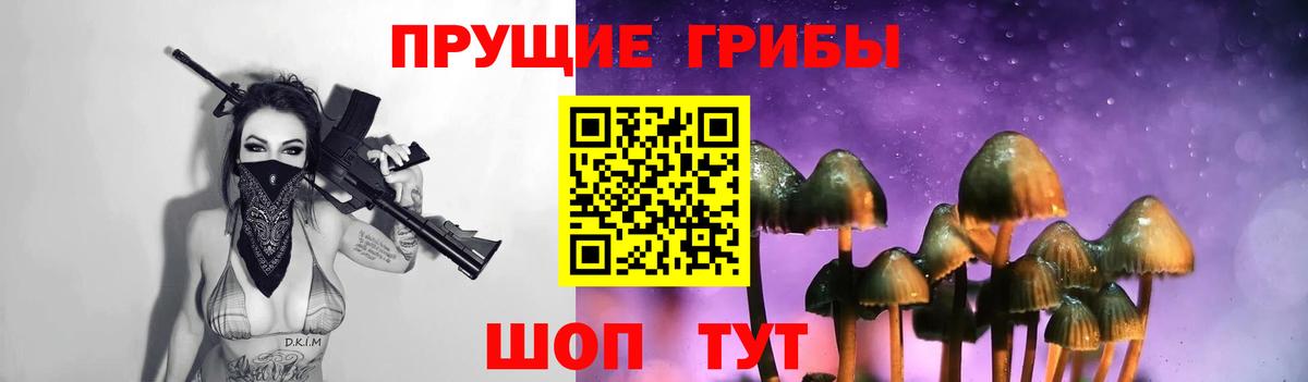 Псилоцибиновые грибы GOLDEN TEACHER Кумертау